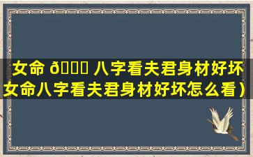 女命 💐 八字看夫君身材好坏（女命八字看夫君身材好坏怎么看）